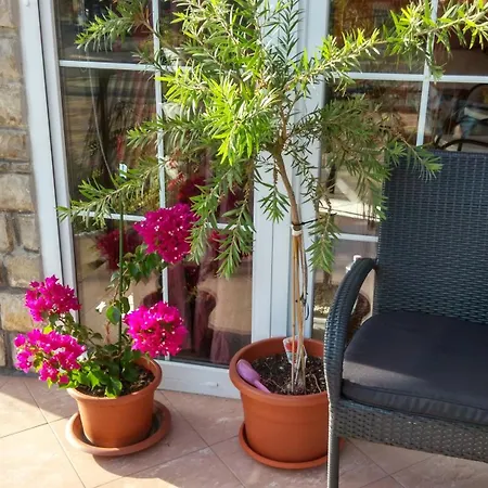 Barbara Vendeghaz Apartment