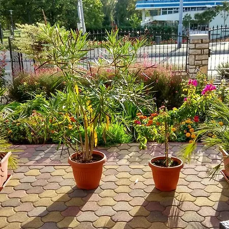 Barbara * Balatonfüred