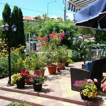 Barbara Vendeghaz Balatonfüred