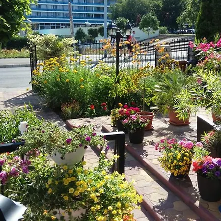 Barbara Balatonfüred