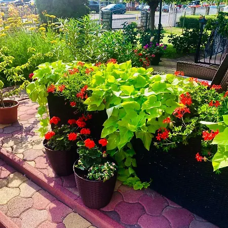 Apartamento Barbara Balatonfüred