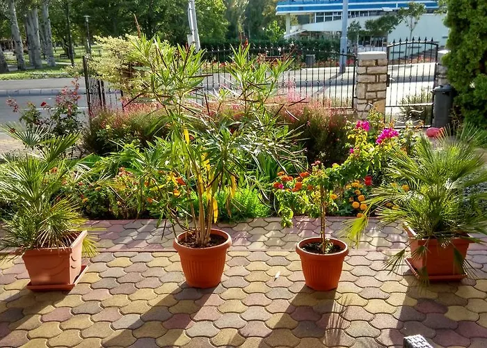 Barbara Vendeghaz * Balatonfüred