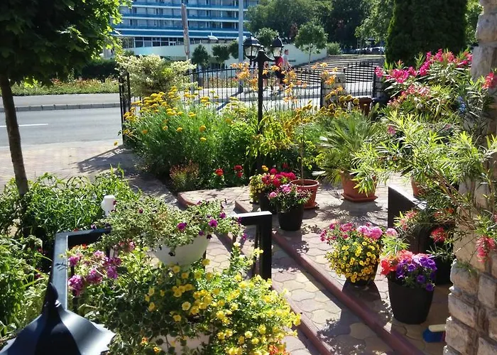 Barbara Vendeghaz Balatonfüred