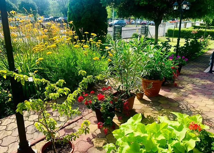 Barbara Vendeghaz * Balatonfüred