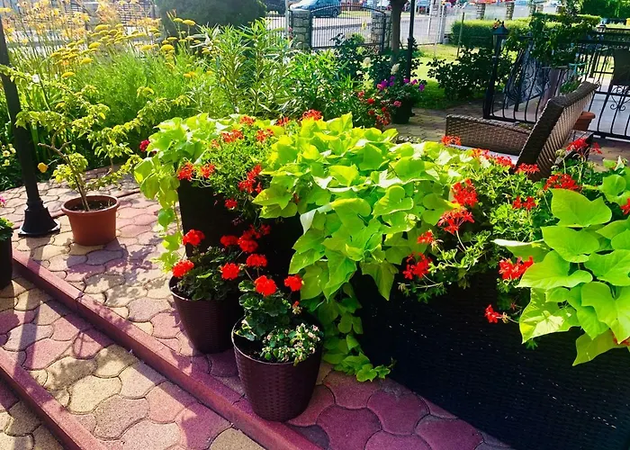 Apartmán Barbara Vendeghaz Balatonfüred